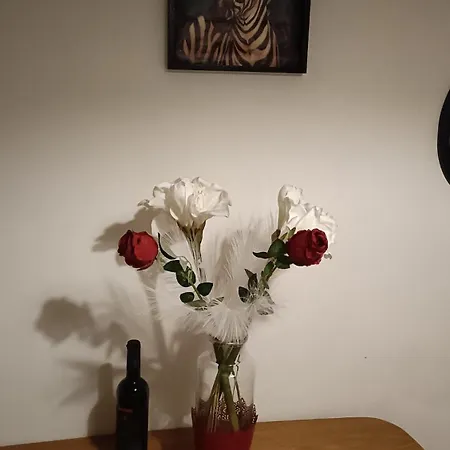 Ilda's Bica House * リスボン